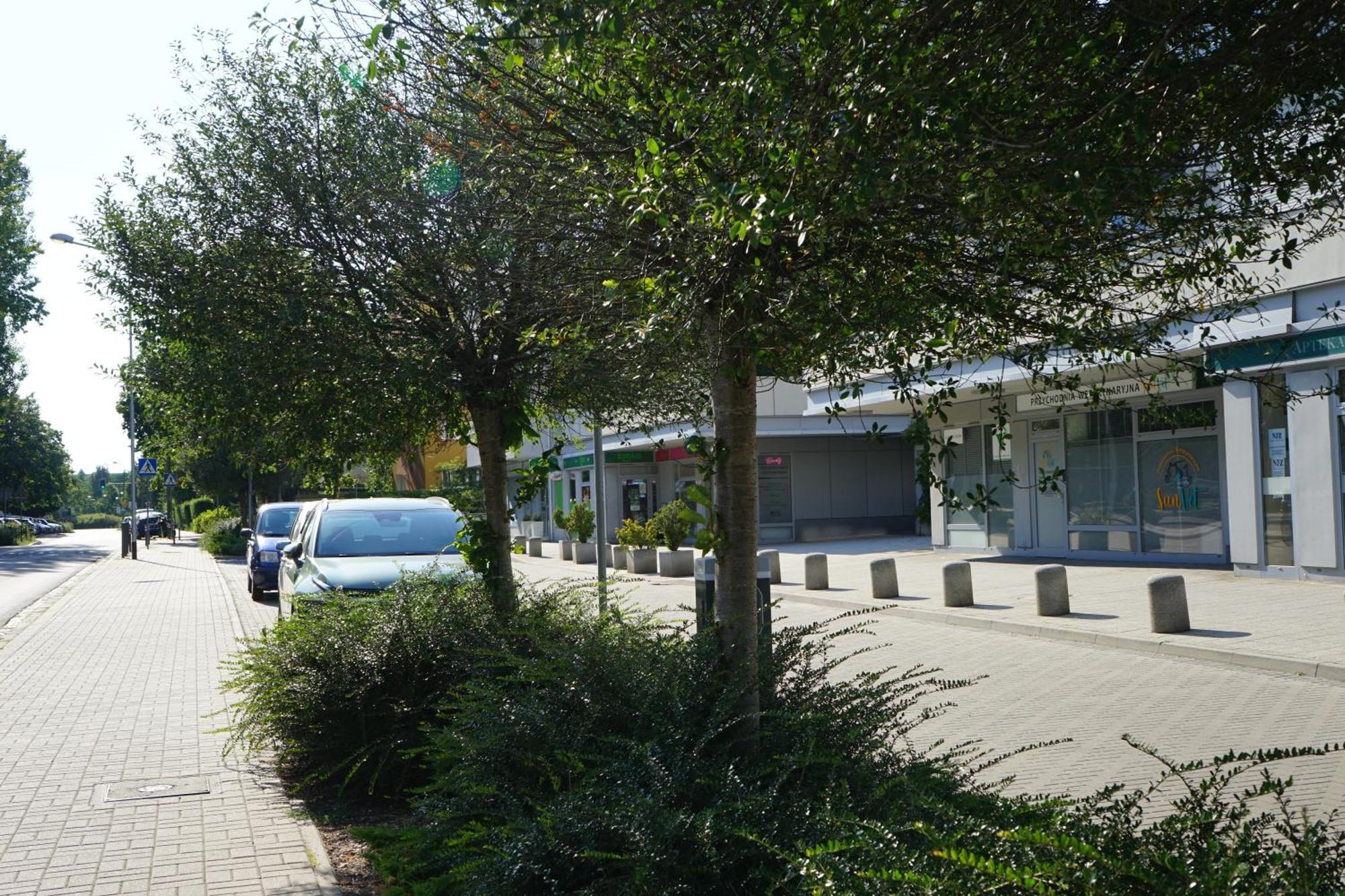 Apartment Przytulny Na Brzasku *